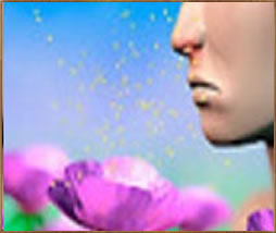 Breathing the Pollen Particles