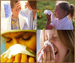 Hay Fever Sufferers