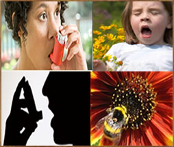 Most common allergens