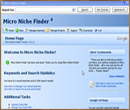 Niche products keyword analysis software