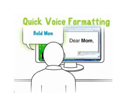 Quick Voice Formatting